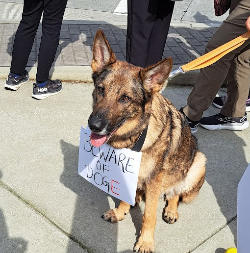 Beware-of-DOGE.jpg