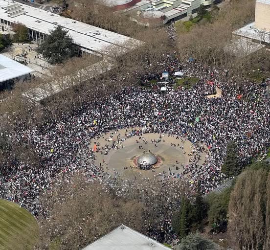 Seattle protest