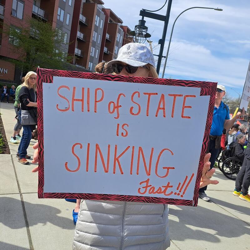 ship-of-state-is-sinking-fast.jpg